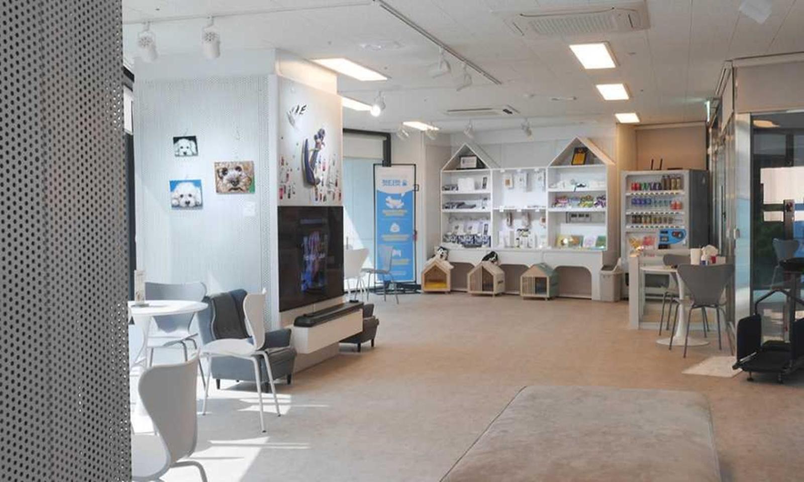 Busan Yeongmu Parade Hotel Haeundae Beach Ngoại thất bức ảnh